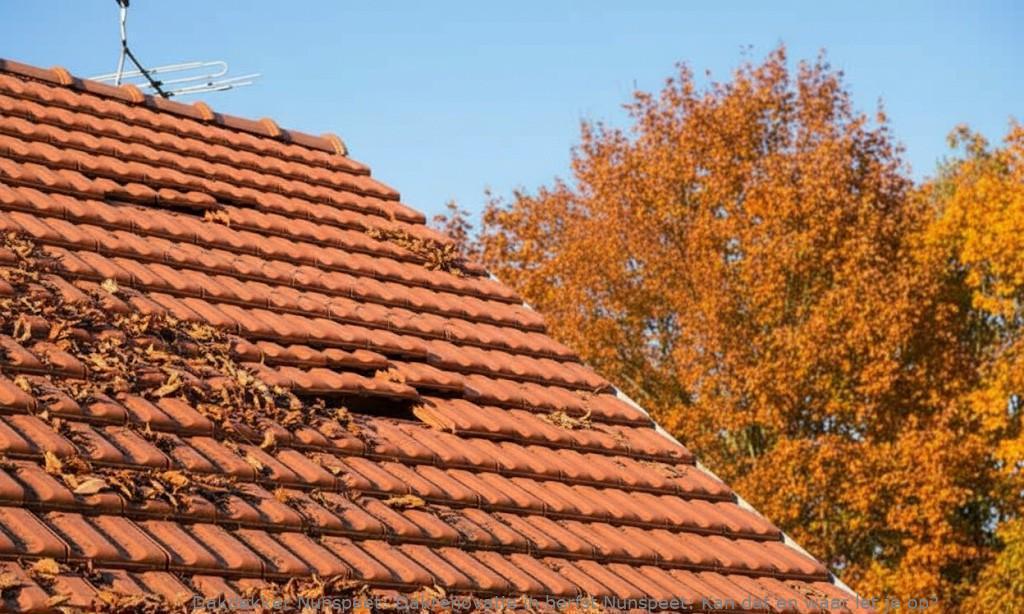 Dakrenovatie In Herfst Nunspeet