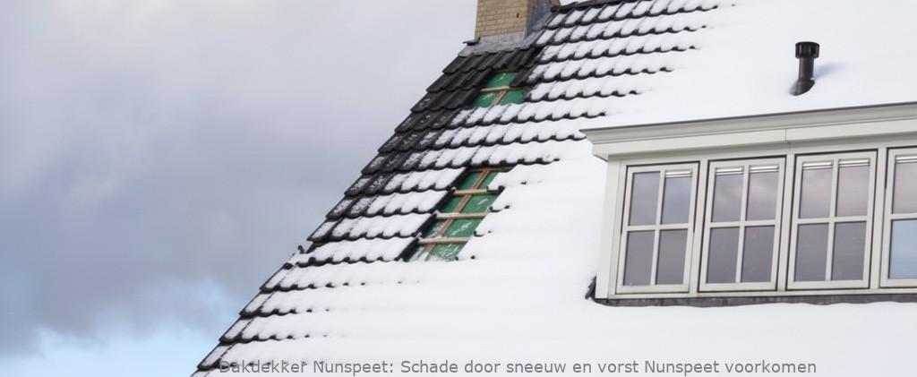Schade Door Sneeuw En Vorst Nunspeet